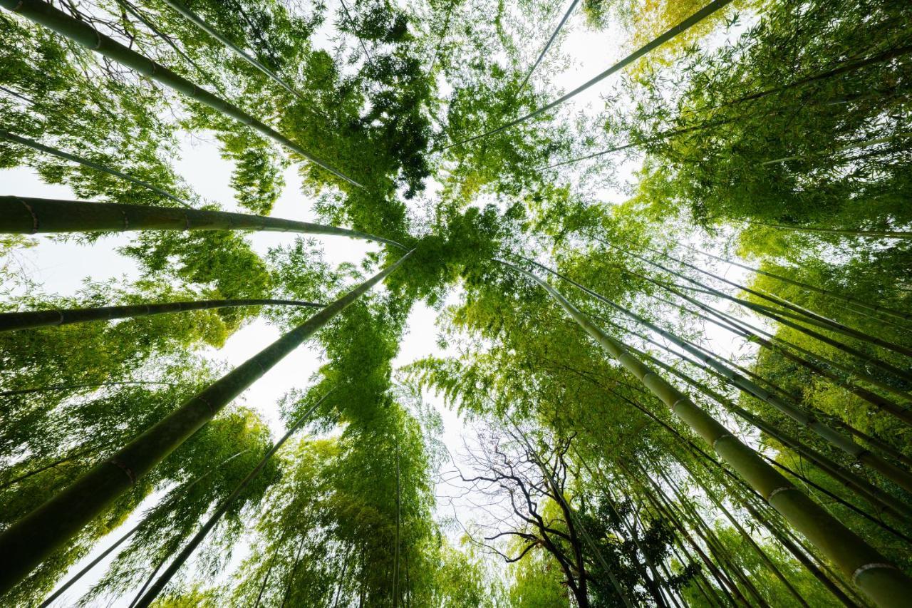 ホテル 旅庵 蕗の薹 豊後高田市 エクステリア 写真